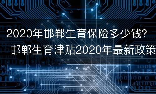 2020年邯郸生育保险多少钱？ 邯郸生育津贴2020年最新政策