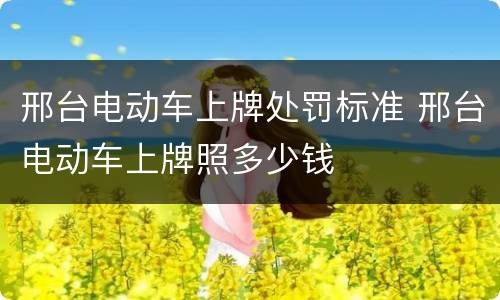 邢台电动车上牌处罚标准 邢台电动车上牌照多少钱