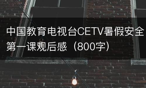 中国教育电视台CETV暑假安全第一课观后感（800字）