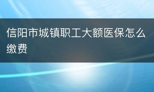 信阳市城镇职工大额医保怎么缴费