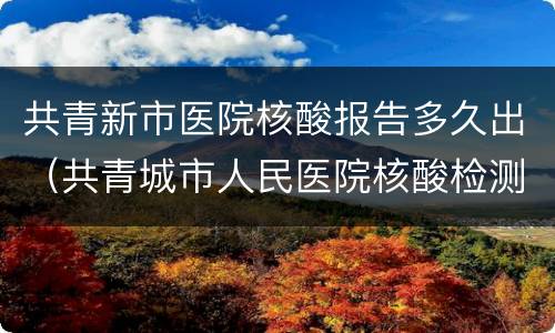 共青新市医院核酸报告多久出（共青城市人民医院核酸检测多久出结果）