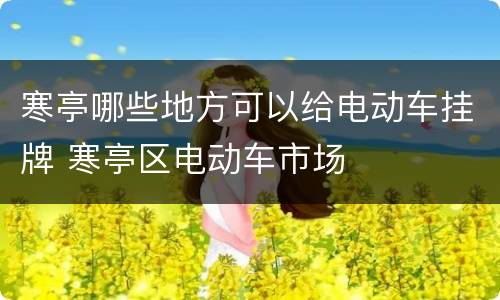 寒亭哪些地方可以给电动车挂牌 寒亭区电动车市场