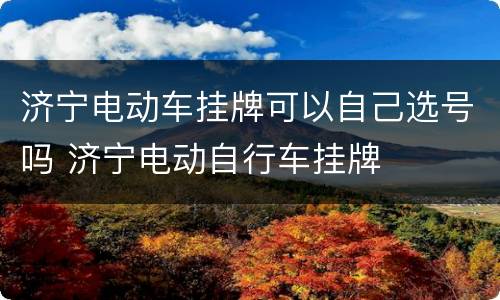 济宁电动车挂牌可以自己选号吗 济宁电动自行车挂牌