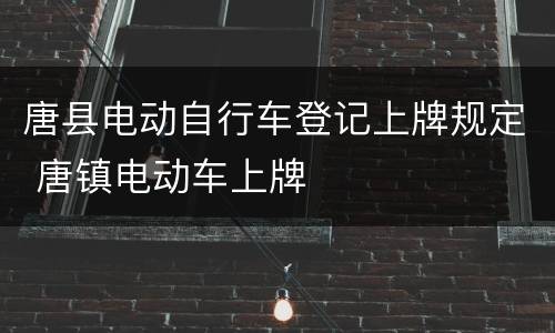 唐县电动自行车登记上牌规定 唐镇电动车上牌