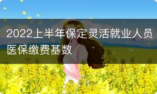 2022上半年保定灵活就业人员医保缴费基数