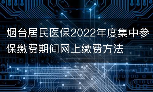 烟台居民医保2022年度集中参保缴费期间网上缴费方法