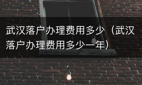 武汉落户办理费用多少（武汉落户办理费用多少一年）