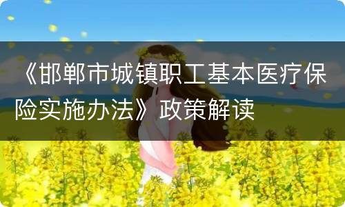 《邯郸市城镇职工基本医疗保险实施办法》政策解读