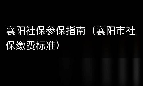 襄阳社保参保指南（襄阳市社保缴费标准）