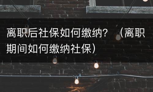 离职后社保如何缴纳？（离职期间如何缴纳社保）