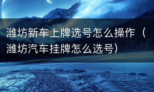 潍坊新车上牌选号怎么操作（潍坊汽车挂牌怎么选号）