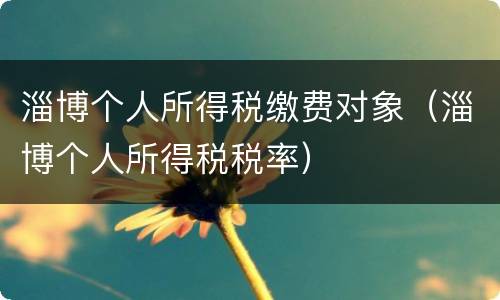 淄博个人所得税缴费对象（淄博个人所得税税率）