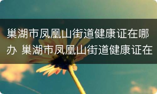 巢湖市凤凰山街道健康证在哪办 巢湖市凤凰山街道健康证在哪办理