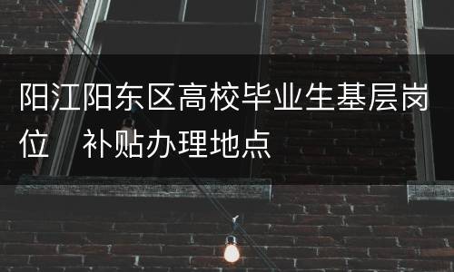 阳江阳东区高校毕业生基层岗位​补贴办理地点