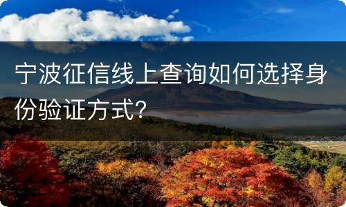 宁波征信线上查询如何选择身份验证方式？