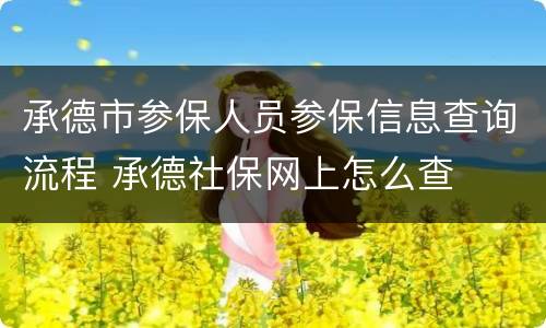 承德市参保人员参保信息查询流程 承德社保网上怎么查