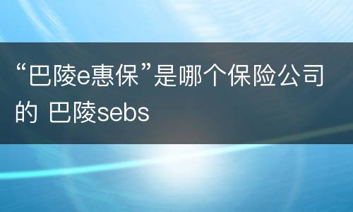 “巴陵e惠保”是哪个保险公司的 巴陵sebs