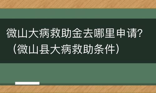 微山大病救助金去哪里申请？（微山县大病救助条件）