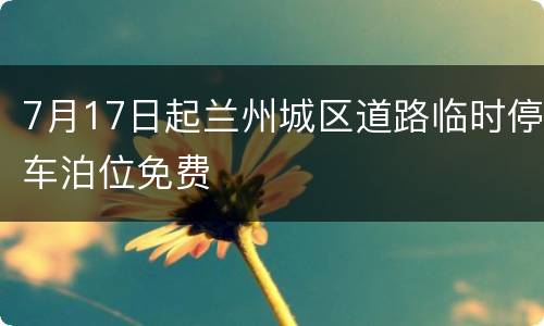 7月17日起兰州城区道路临时停车泊位免费