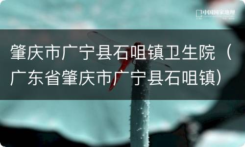 肇庆市广宁县石咀镇卫生院（广东省肇庆市广宁县石咀镇）