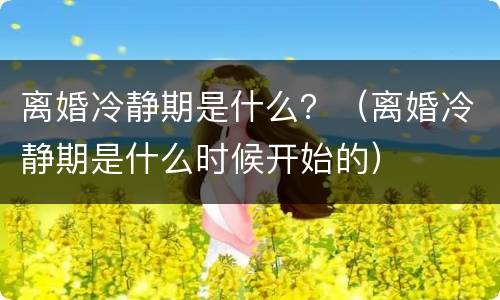 离婚冷静期是什么？（离婚冷静期是什么时候开始的）
