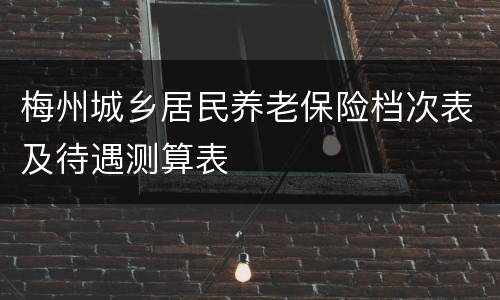 梅州城乡居民养老保险档次表及待遇测算表