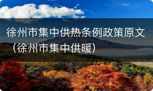 徐州市集中供热条例政策原文（徐州市集中供暖）