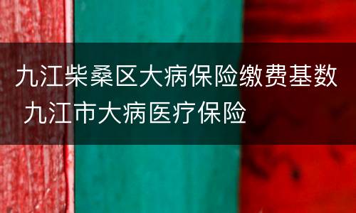 九江柴桑区大病保险缴费基数 九江市大病医疗保险