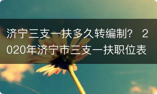 济宁三支一扶多久转编制？ 2020年济宁市三支一扶职位表