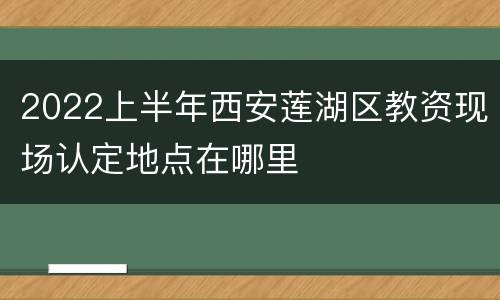 2022上半年西安莲湖区教资现场认定地点在哪里