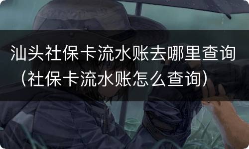 汕头社保卡流水账去哪里查询（社保卡流水账怎么查询）