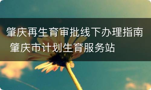 肇庆再生育审批线下办理指南 肇庆市计划生育服务站