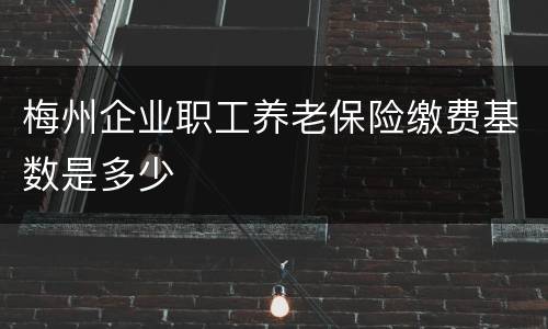 梅州企业职工养老保险缴费基数是多少