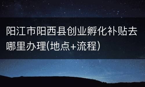阳江市阳西县创业孵化补贴去哪里办理(地点+流程)