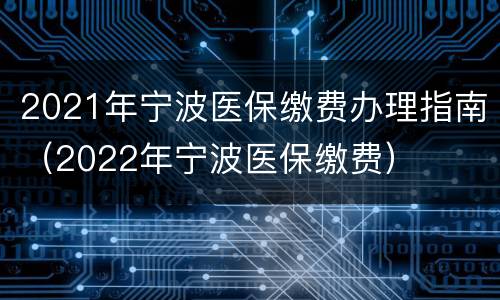 2021年宁波医保缴费办理指南（2022年宁波医保缴费）