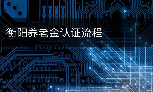 衡阳养老金认证流程​