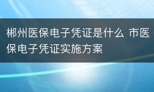 郴州医保电子凭证是什么 市医保电子凭证实施方案