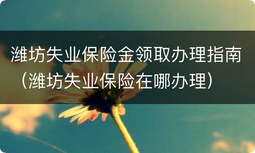 潍坊失业保险金领取办理指南（潍坊失业保险在哪办理）