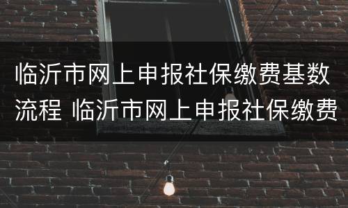 临沂市网上申报社保缴费基数流程 临沂市网上申报社保缴费基数流程是什么