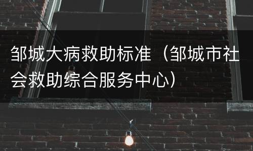 邹城大病救助标准（邹城市社会救助综合服务中心）