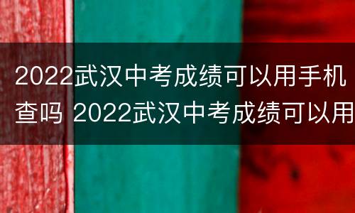 2022武汉中考成绩可以用手机查吗 2022武汉中考成绩可以用手机查吗知乎