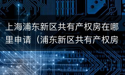 上海浦东新区共有产权房在哪里申请（浦东新区共有产权房房源）