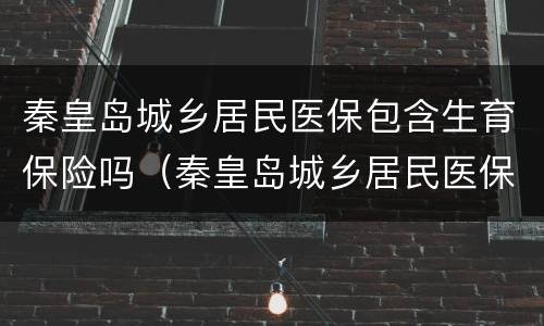 秦皇岛城乡居民医保包含生育保险吗（秦皇岛城乡居民医保包含生育保险吗多少钱）