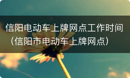 信阳电动车上牌网点工作时间（信阳市电动车上牌网点）
