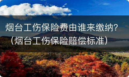 烟台工伤保险费由谁来缴纳？（烟台工伤保险赔偿标准）