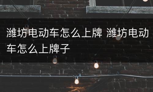 潍坊电动车怎么上牌 潍坊电动车怎么上牌子