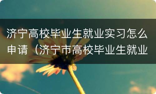 济宁高校毕业生就业实习怎么申请（济宁市高校毕业生就业补贴）