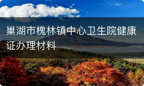 巢湖市槐林镇中心卫生院健康证办理材料