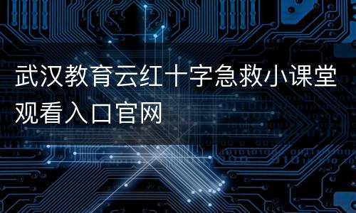武汉教育云红十字急救小课堂观看入口官网