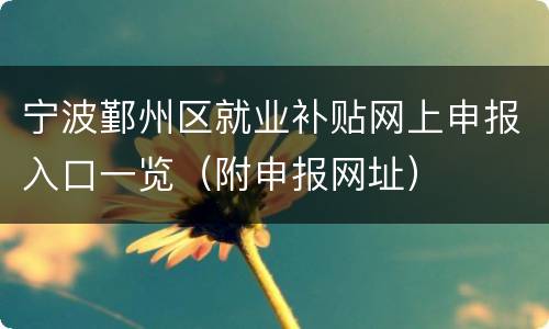 宁波鄞州区就业补贴网上申报入口一览（附申报网址）